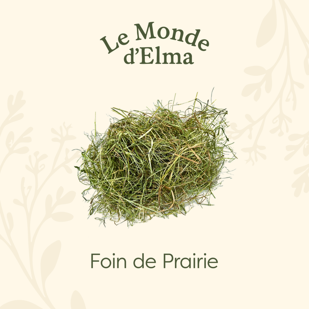 Foin de prairie
