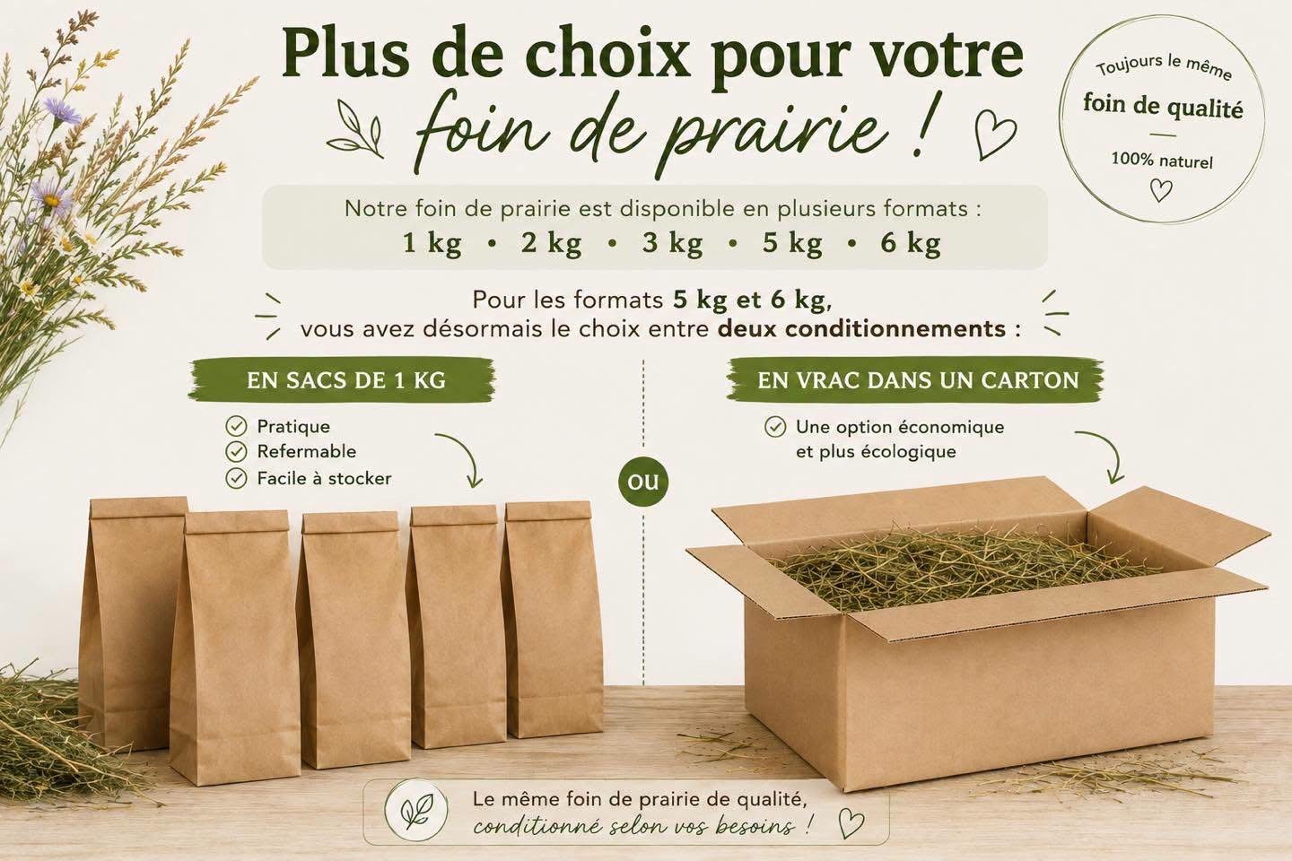 Foin de prairie – Image 3