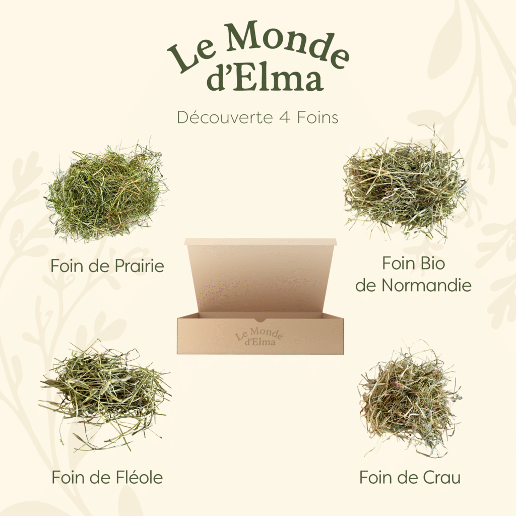 Box foin découverte