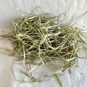 Foin Timothy Hay / Fléole Selective